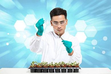 Epic喜加一：《Bloons TD 6》《循环英雄》免费领